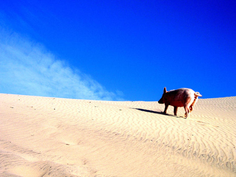 promenade sur la plage Madagascar
Mots-clés: madagascar