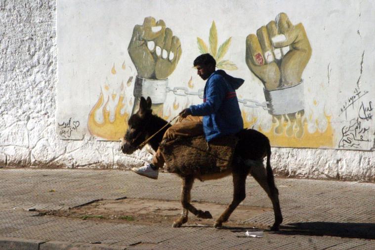 Ane moyen de transport marocain - Maroc
On voyageant par train, par avion, par voiture.. nous avons oublier les dos des chevaux, des mules, des ânes..
Mots-clés: Maroc âne