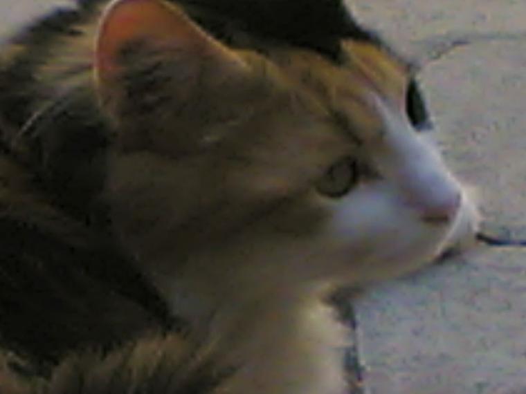 Voxane 06082006(001)
Voxane
