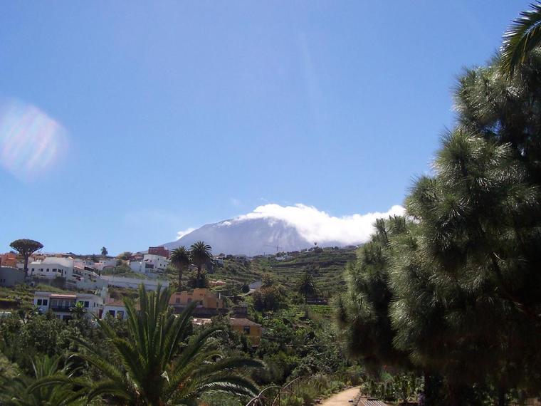 Tenerife - Le pic du Teide
Au loin le pic du Teide
