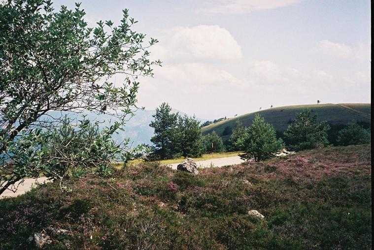 Mont de l'Espînouse
