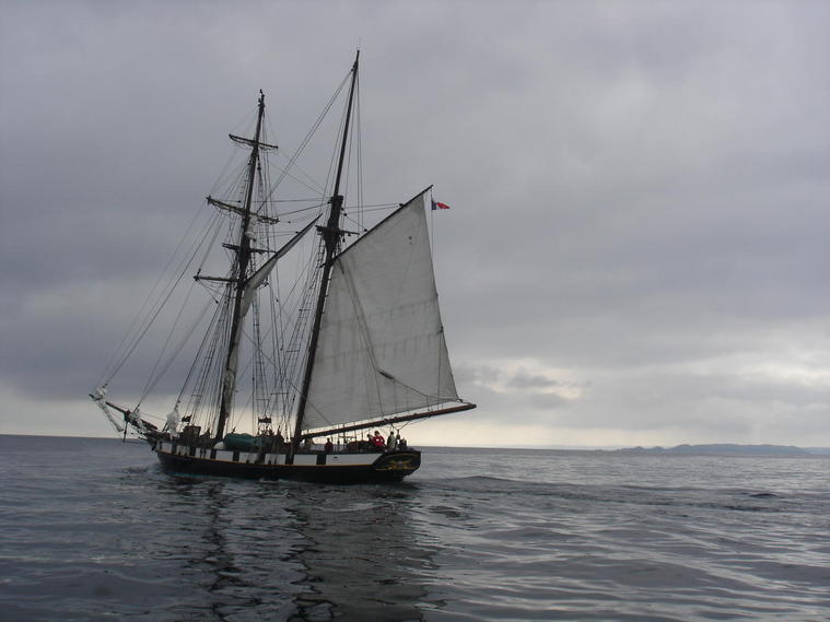 Le voilier de la côte d'Opale
