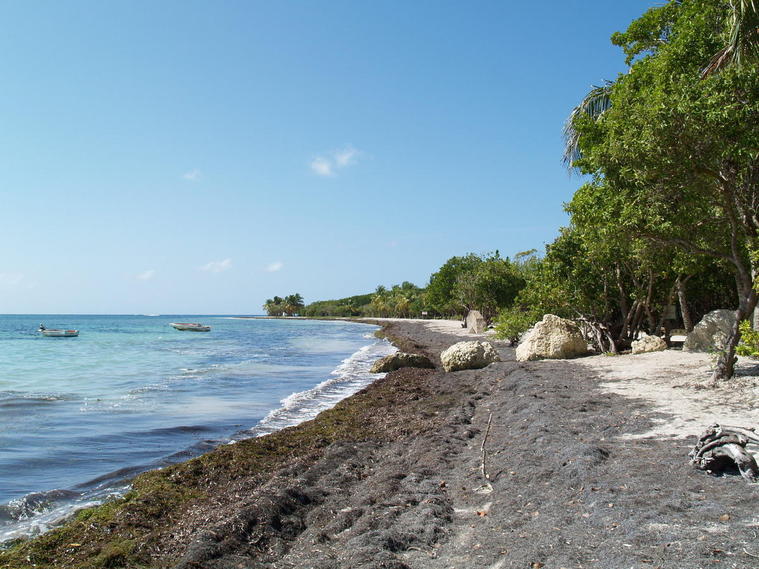 Sable noir Guadeloupe
