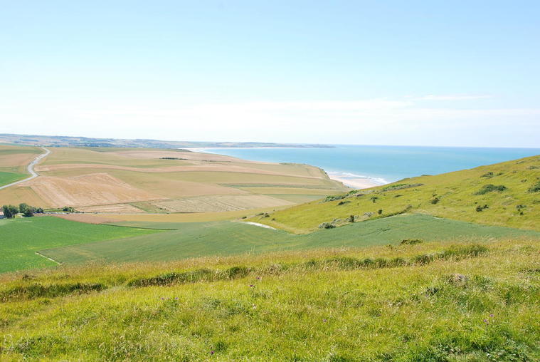 Paysage vert de la Côte d'Opale
