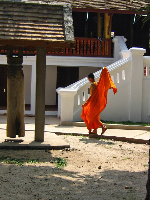 Le bonze funambule
petit bonze "funambule"
