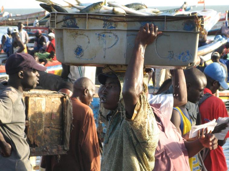 Le retour des pêcheurs au Sénégal
Petite Côte - Sénégal
