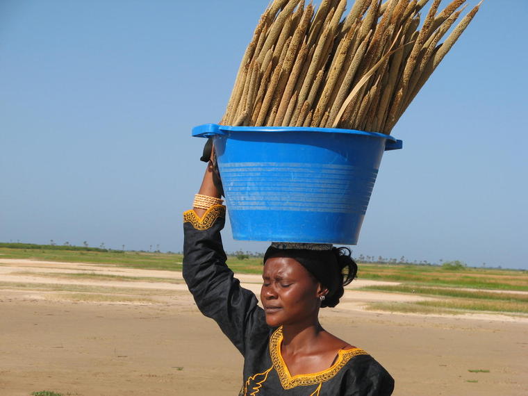 Mil et une femme wolof, Sénégal
"La tête ne sert pas qu'à retenir les cheveux"... proverbe wolof 

