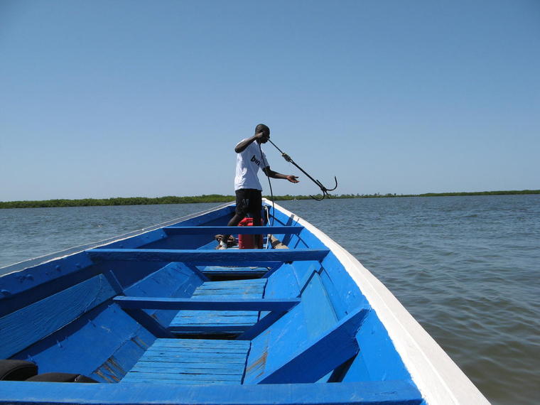 Siné-Saloum, barque, Sénégal
Mots-clés: afrique barque siné-saloum sénégal