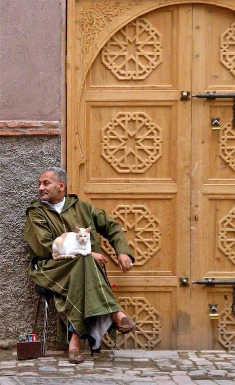 Maroc, l'homme au chat sur les genoux
Mots-clés: Maroc