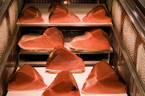 2008 - Japan - Tokyo - Tuna
Le thon, c'est bon
Mots-clés: thon