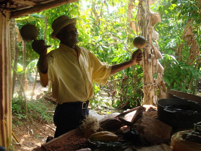 vendeur de cacao République dominicaine
