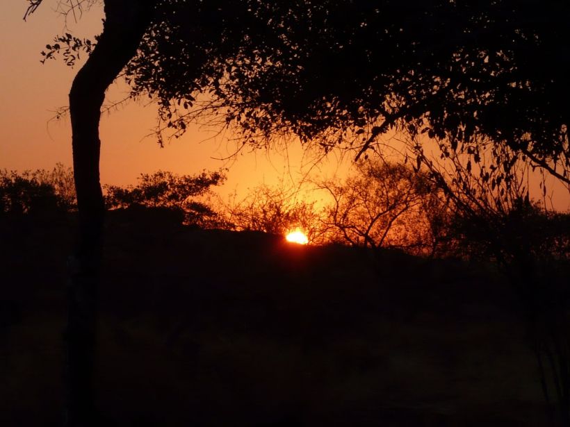 Parc Kruger Coucher de soleil
