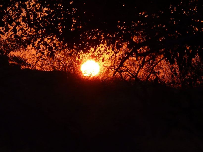 Coucher de soleil parc Kruger

