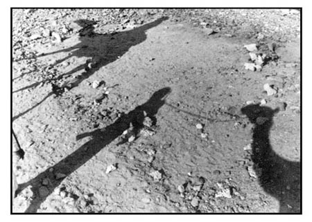 Ombres bédouines
