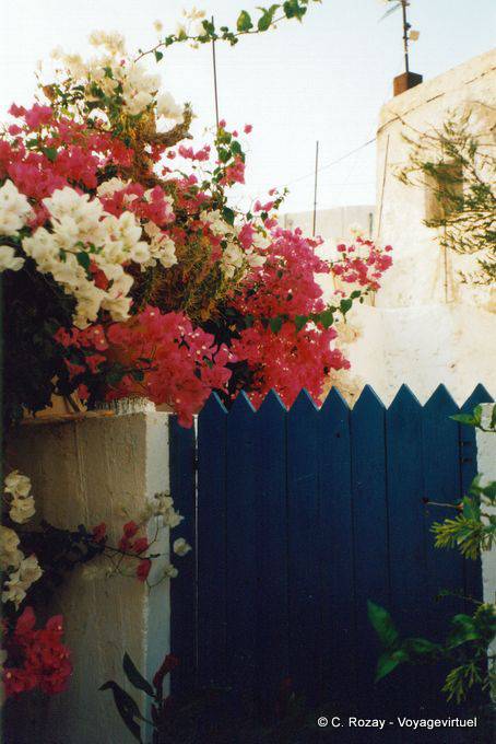 Bougainvilliers à Chora, Anafi - Grèce