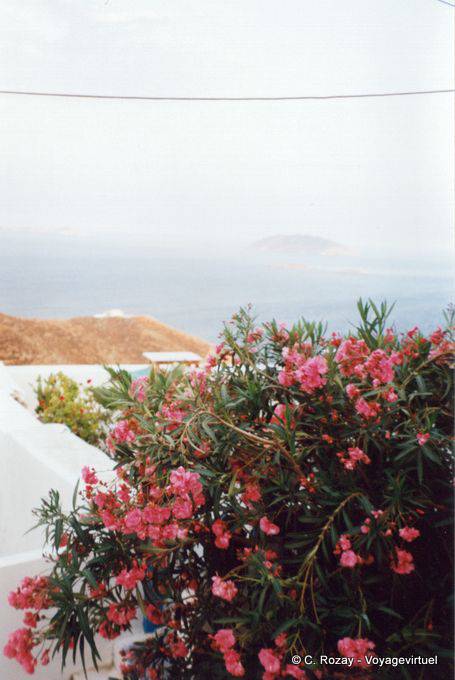 Bouquet rose et brume sur la mer depuis Chora, île de Anafi - Grèce