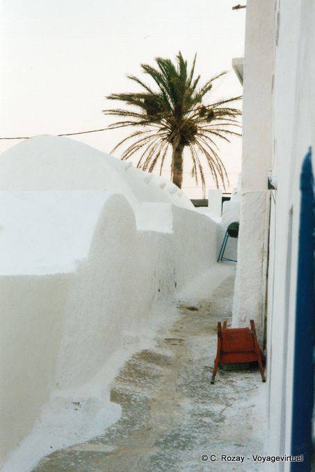 Palmier sur chaux, Chora, Anafi - Grèce