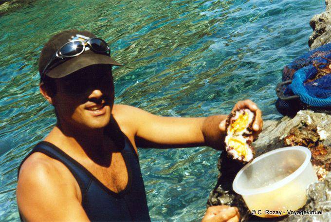 Repas marin d'huitre sauvage d'Anafi - Grèce