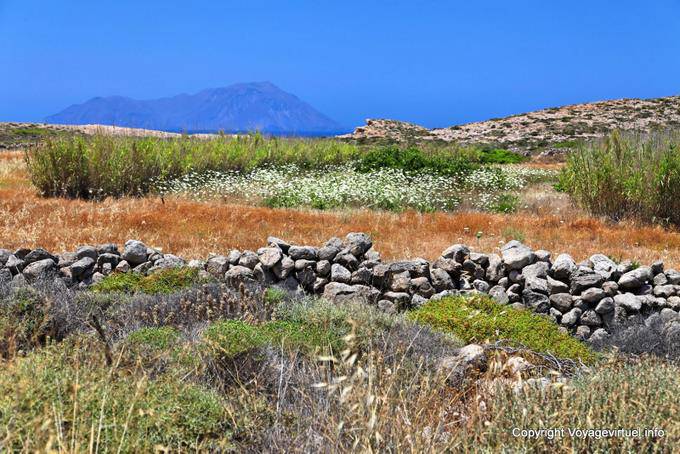 Milos, Agios Georgios, beauté campagnarde - Grèce