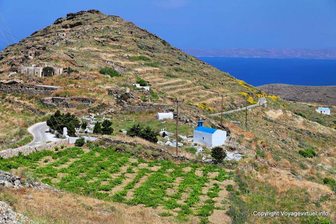 Sérifos, Sikamia, vignes et colline - Grèce