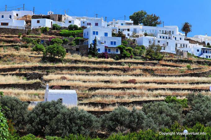 Sifnos, champs et maisons en espaliers,Kato Petali - Grèce