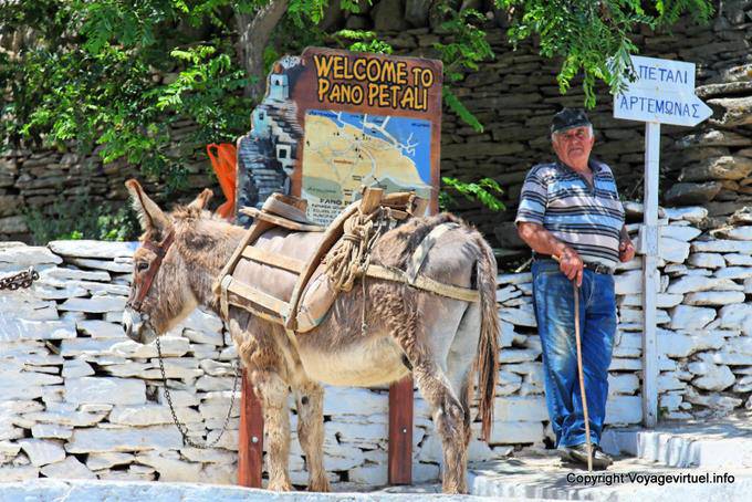 Sifnos, Pano Petali, l'homme et son âne - Grèce