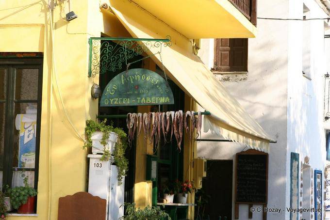 Poulpes devant l'Ouzeri, Afissos, Pélion - Grèce