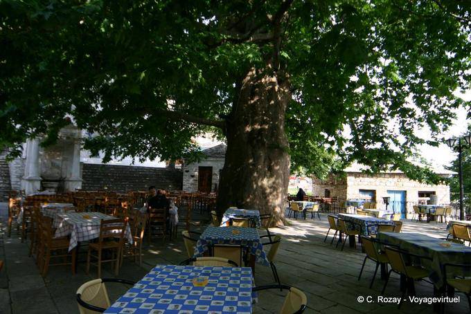 Terrasse sous arbre géant, Pinakates, Pélion - Grèce