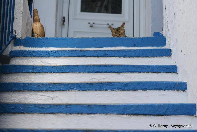 Chat dans l'escalier, Trikeri, Agia Kyriaki - Grèce