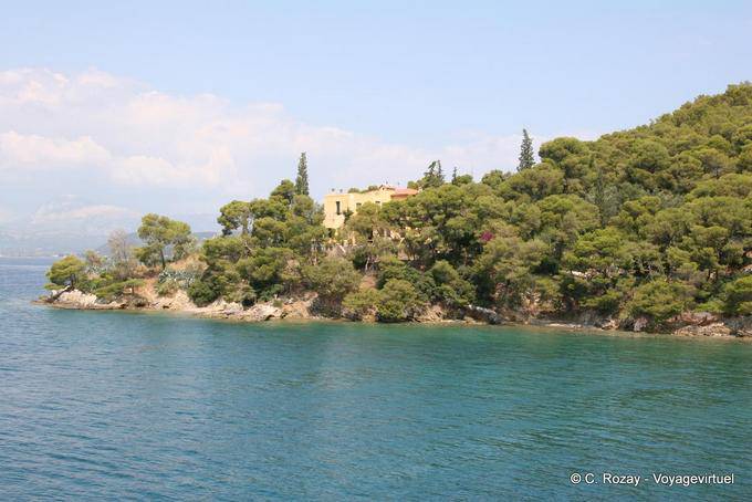 Pins plongeant dans la mer, île de Poros - Grèce