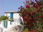 Sur les hauteurs de l'île Hydra, Grèce.