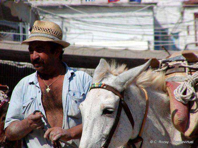 Muletier, Hydra - Grèce