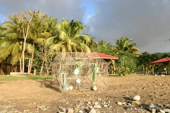 Casier sur la plage baignée par le soleil des Antilles, Bouillante - Guadeloupe