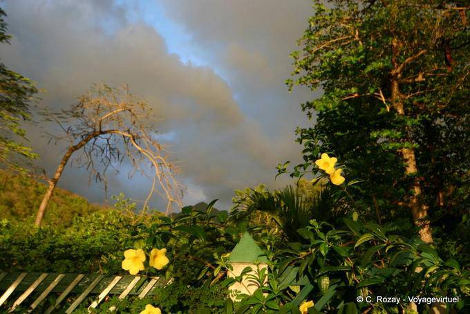 Nuées, fleurs et lumière du soir, vers Pointe-Noire - Guadeloupe