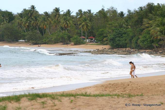 Plage de l'Anse-de-la-Perle, Rifflet - Guadeloupe