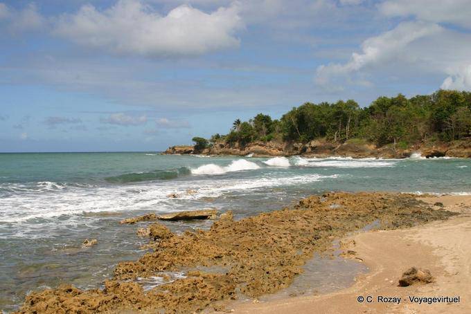 Côte rocheuse vue entre Deshaies et Sainte Rose - Guadeloupe