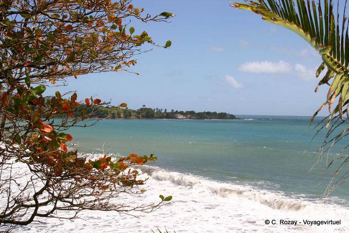 Littoral aux environs de Trois-Rivières - Guadeloupe
