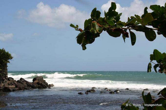 Vagues entre Trois-Rivières et Grande-Anse - Guadeloupe