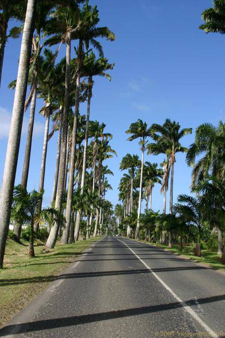 Allée Dumanoir, Capesterre Belle-eau - Guadeloupe
