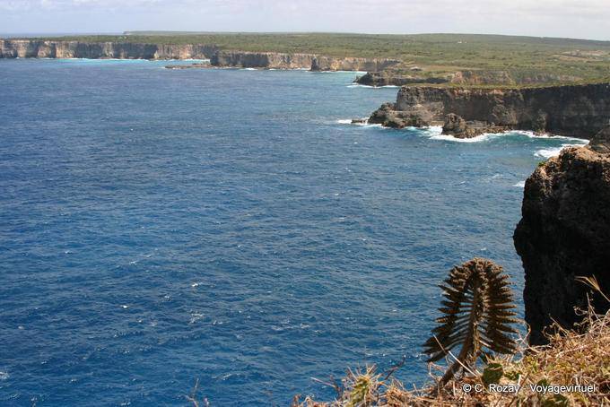 Panorama sur la pointe de la Grande Vigie - Guadeloupe