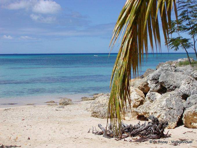 Horizon depuis le lagon de l'Anse du Souffleur - Guadeloupe