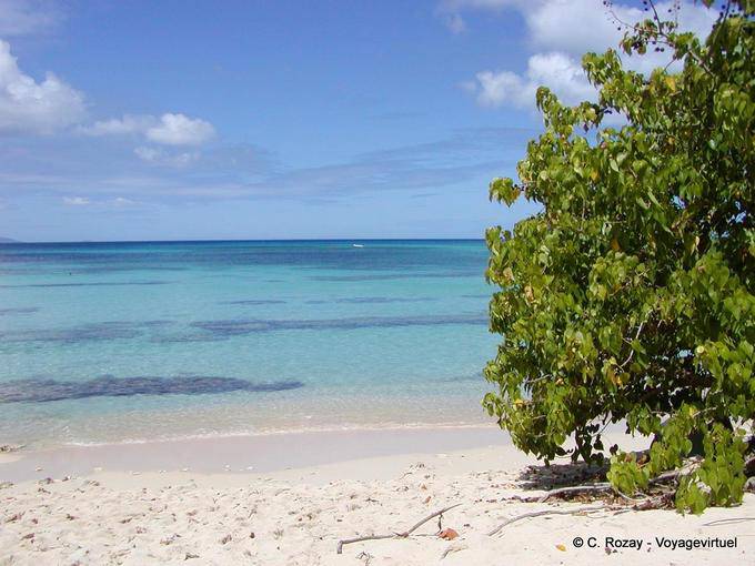 Sable blanc et mer des Caraibes, plage de l'Anse-du-Souffleur, Port-Louis - Guadeloupe