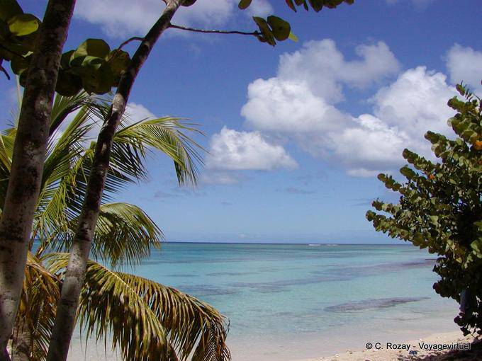 Nuages caribéens, plage de l'Anse-du-Souffleur - Guadeloupe