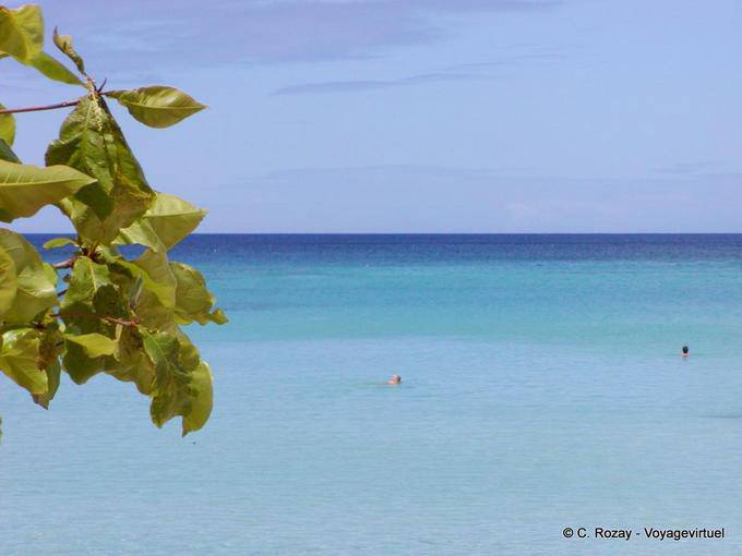 Bleu des Caraibes, Anse du Souffleur - Guadeloupe