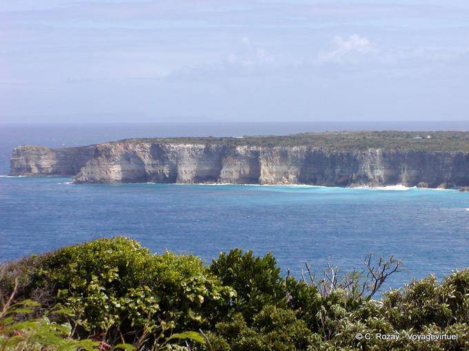 Les falaises calcaires de la pointe de la Grande Vigie - Guadeloupe
