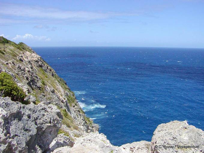 Grand-bleu sur la Pointe de la Grande Vigie - Guadeloupe