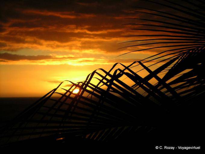 Nature Art, coucher de soleil, Guadeloupe - Guadeloupe