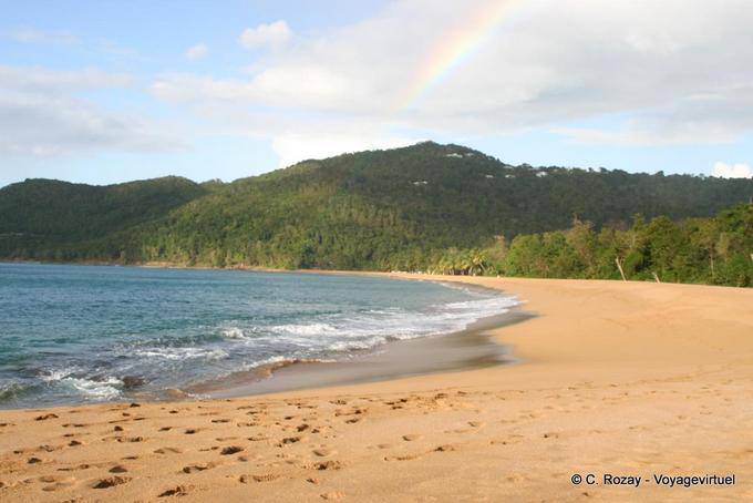 Panoramique de la plage de Grande Anse, Deshaies - Guadeloupe