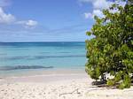 Sable blanc et mer des Caraibes, plage de l'Anse-du-Souffleur, Port-Louis, Guadeloupe.