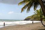 Plage, environs de Petit-Bourg, Guadeloupe.